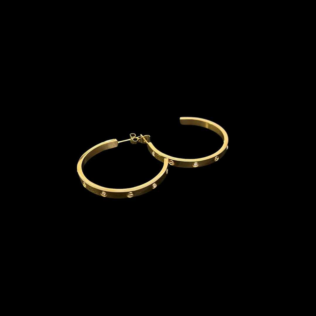 Desi Earrings
