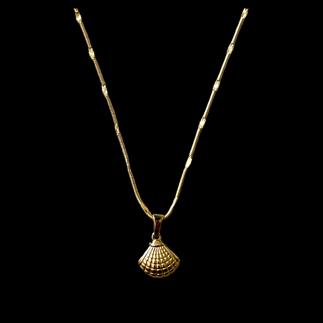 Clam Shell Necklace