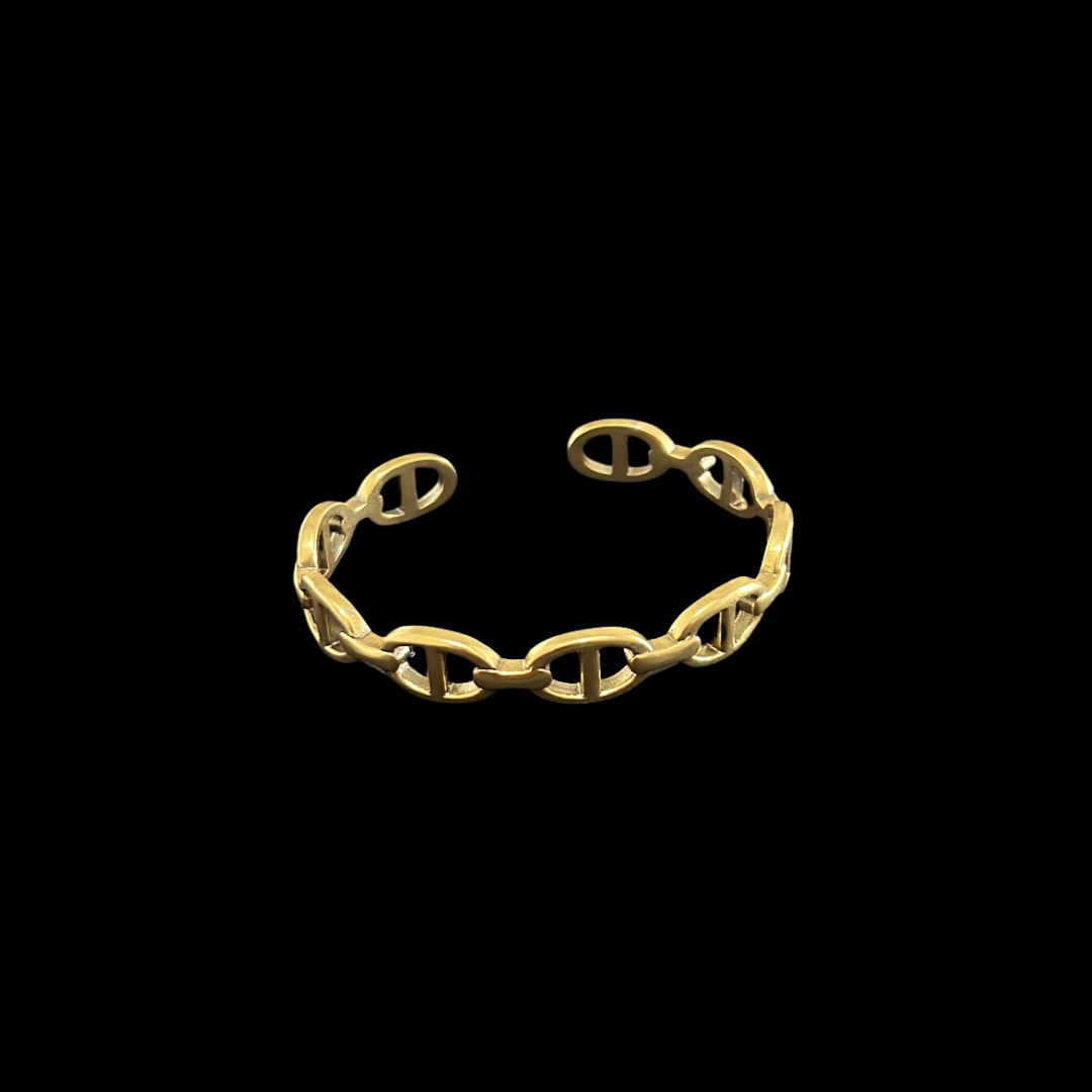CD #21 Bracelet