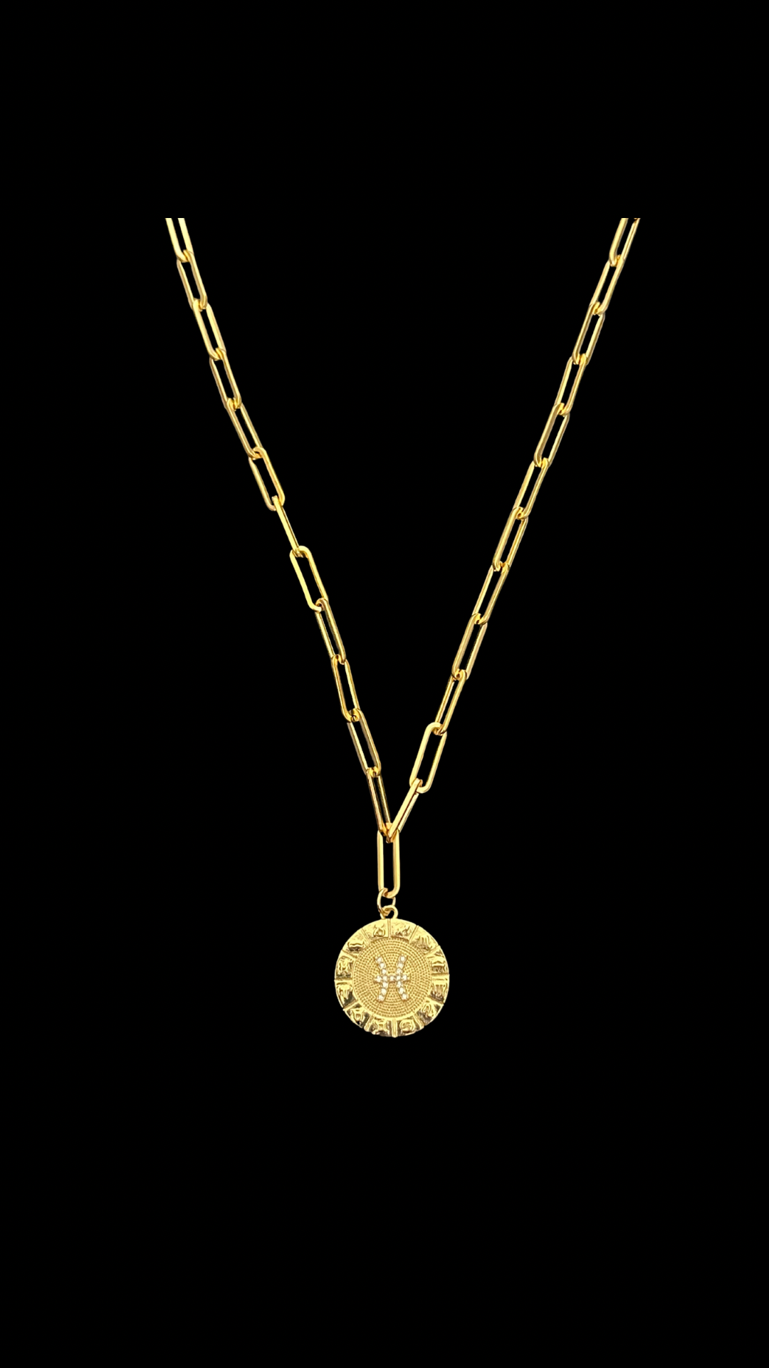 My Zodiac Medallon Necklace