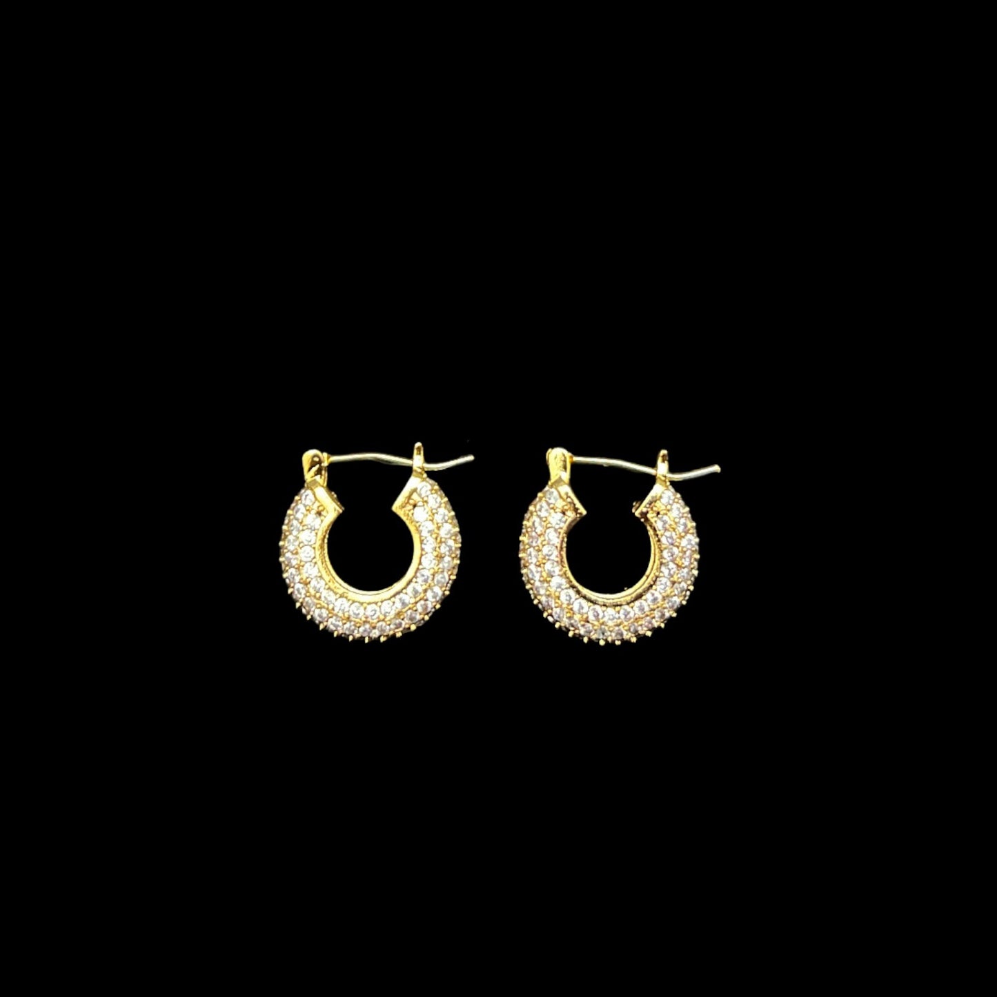 Diciembre Earrings