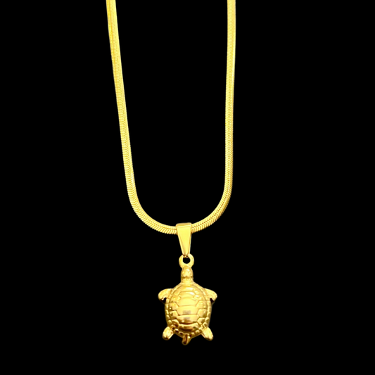 Tortuga Necklace