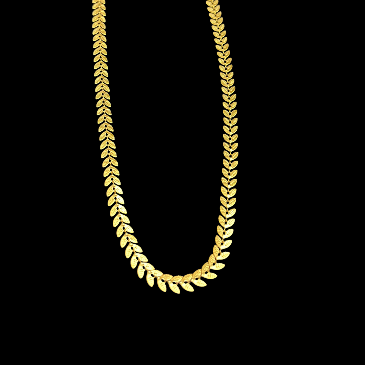 T - C02
