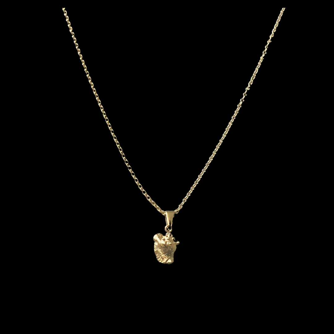 Sea Shell Necklace