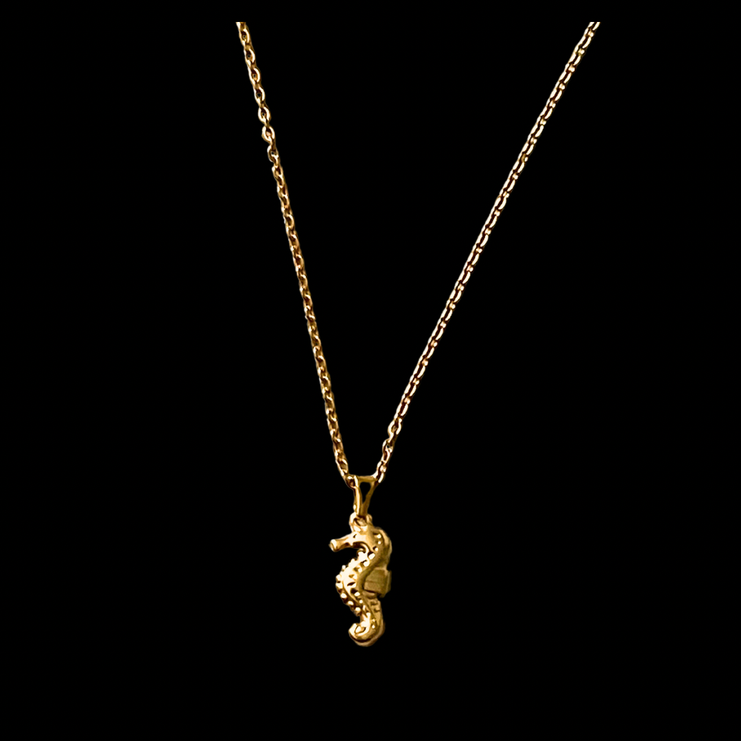 Sea Horse Necklace