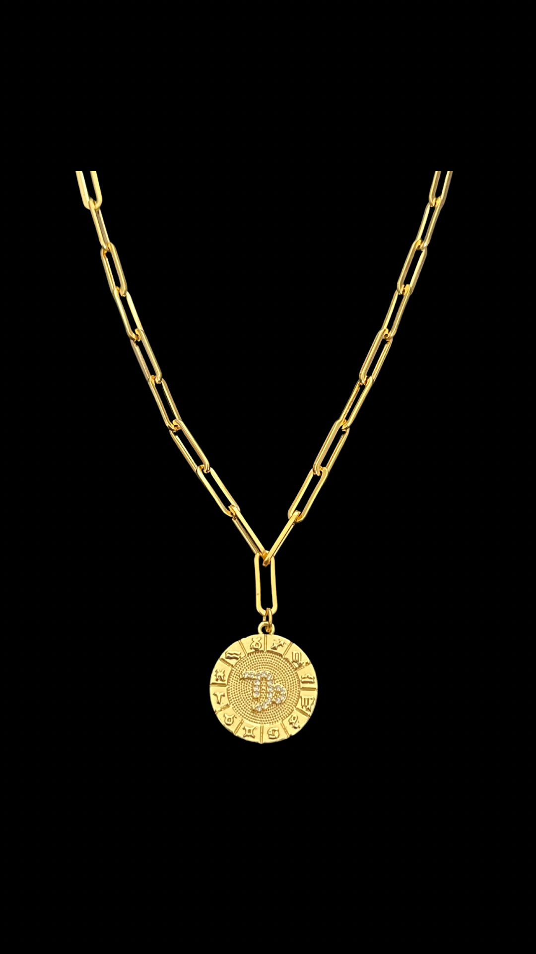 My Zodiac Medallon Necklace