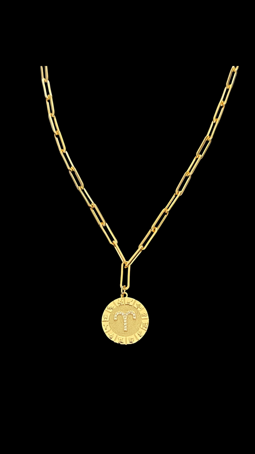 My Zodiac Medallon Necklace