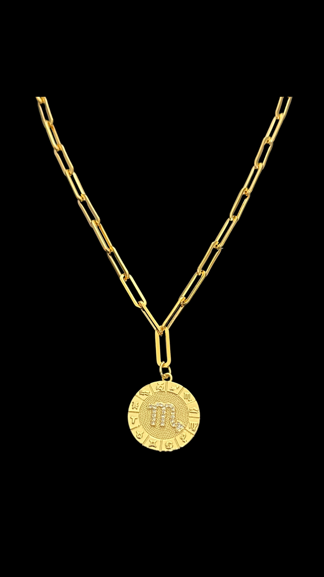 My Zodiac Medallon Necklace