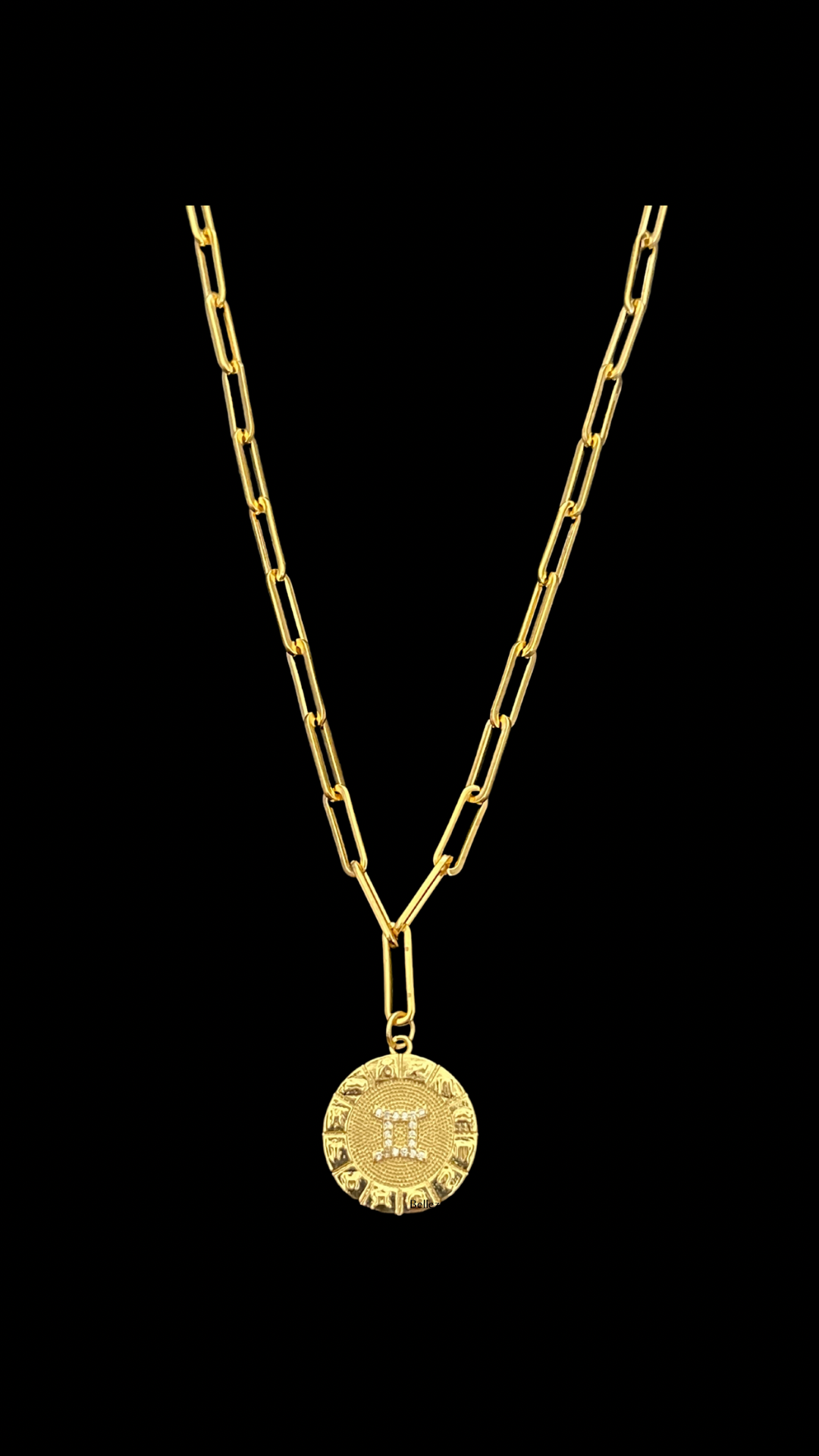My Zodiac Medallon Necklace