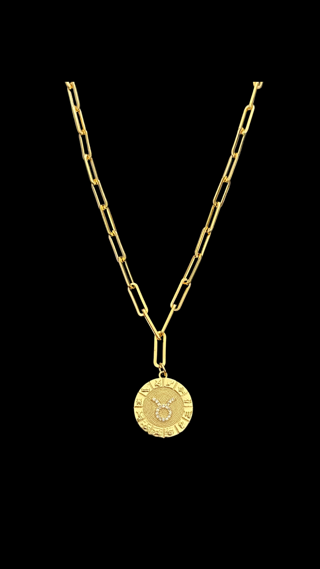 My Zodiac Medallon Necklace